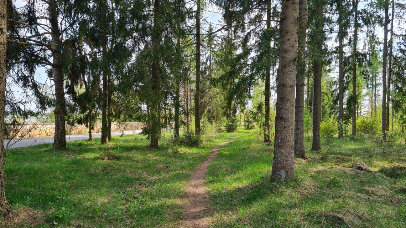 Jēkabpils Mežaparkā atvērta “Zaļā klase”