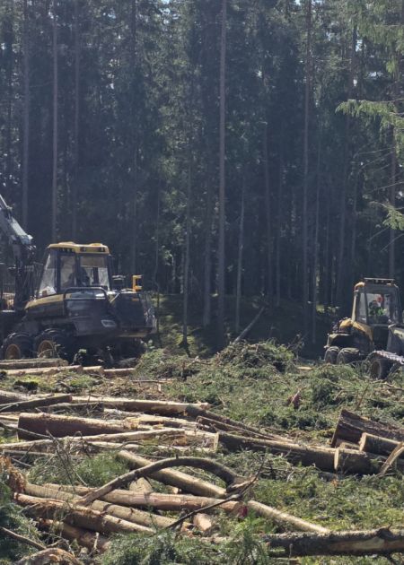 SIA "Jubergs" pērn reģistrētie zaudējumi pārsniedz 620 tūkstošus eiro