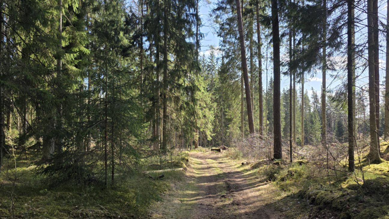 Aicina pieteikties konkursam 