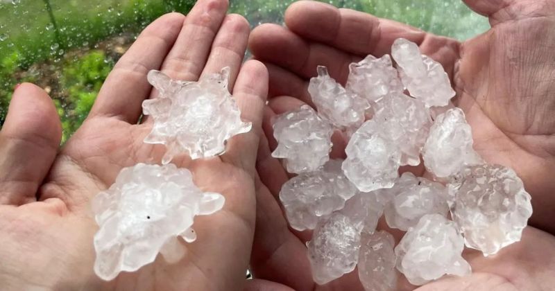 Lielgraudu krusa pārsteidz Jēkabpils novada iedzīvotājus