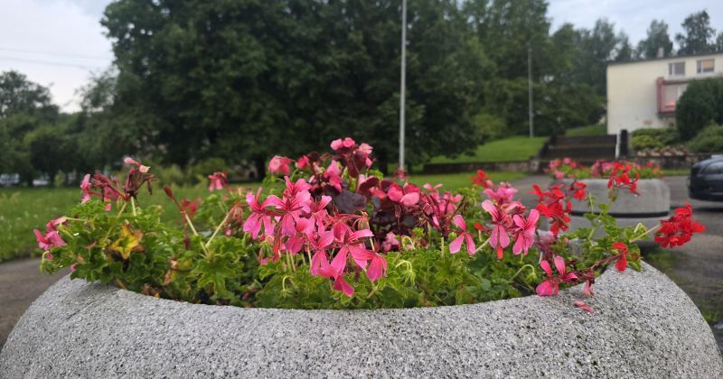 Šonedēļ Latvijas austrumos līs biežāk nekā citviet 