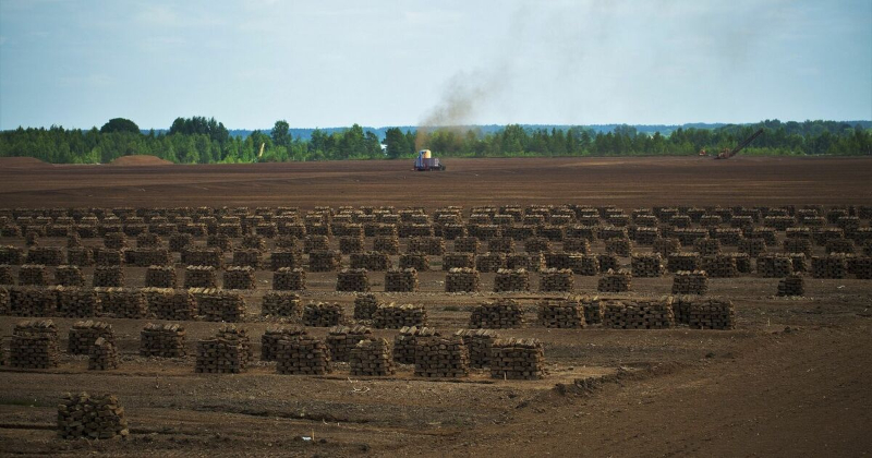"Līvānu kūdras fabrikas" apgrozījums pērn palielinājies par 32,6%