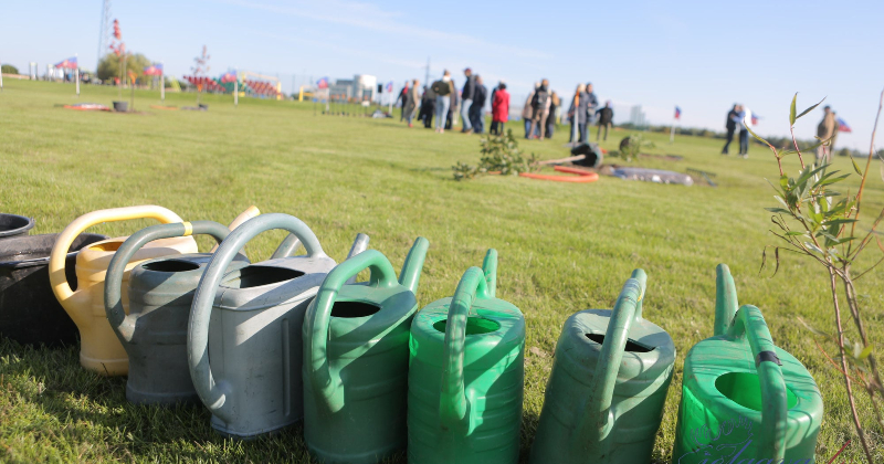 Zīlānos taps Laimes koku parks