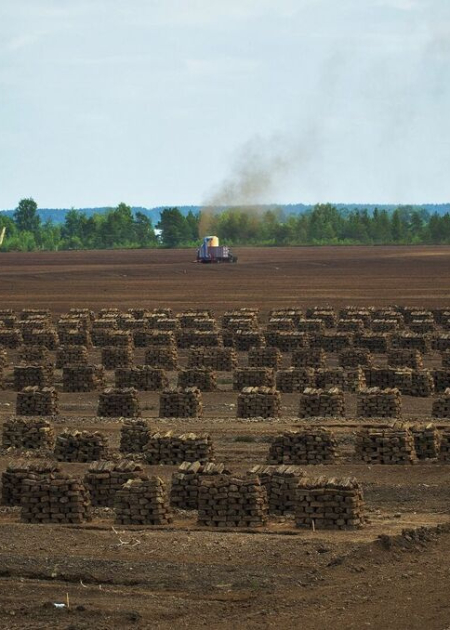 "Līvānu kūdras fabrikas" apgrozījums pērn palielinājies par 32,6%