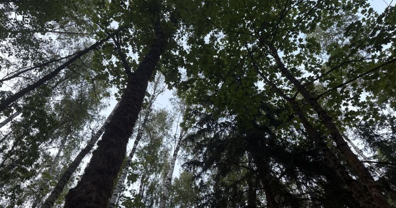 Glābēji atkal dodas palīgā cilvēkam, kurš apmaldījies mežā
