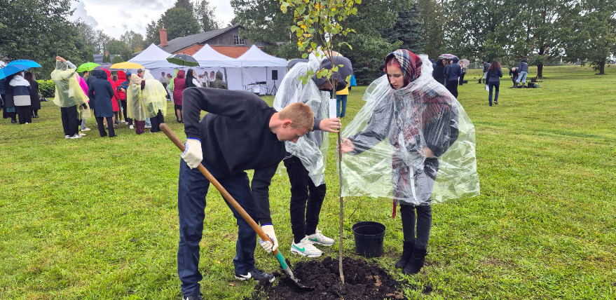 Jēkabpils novada Zīlānos top Laimes koku parks