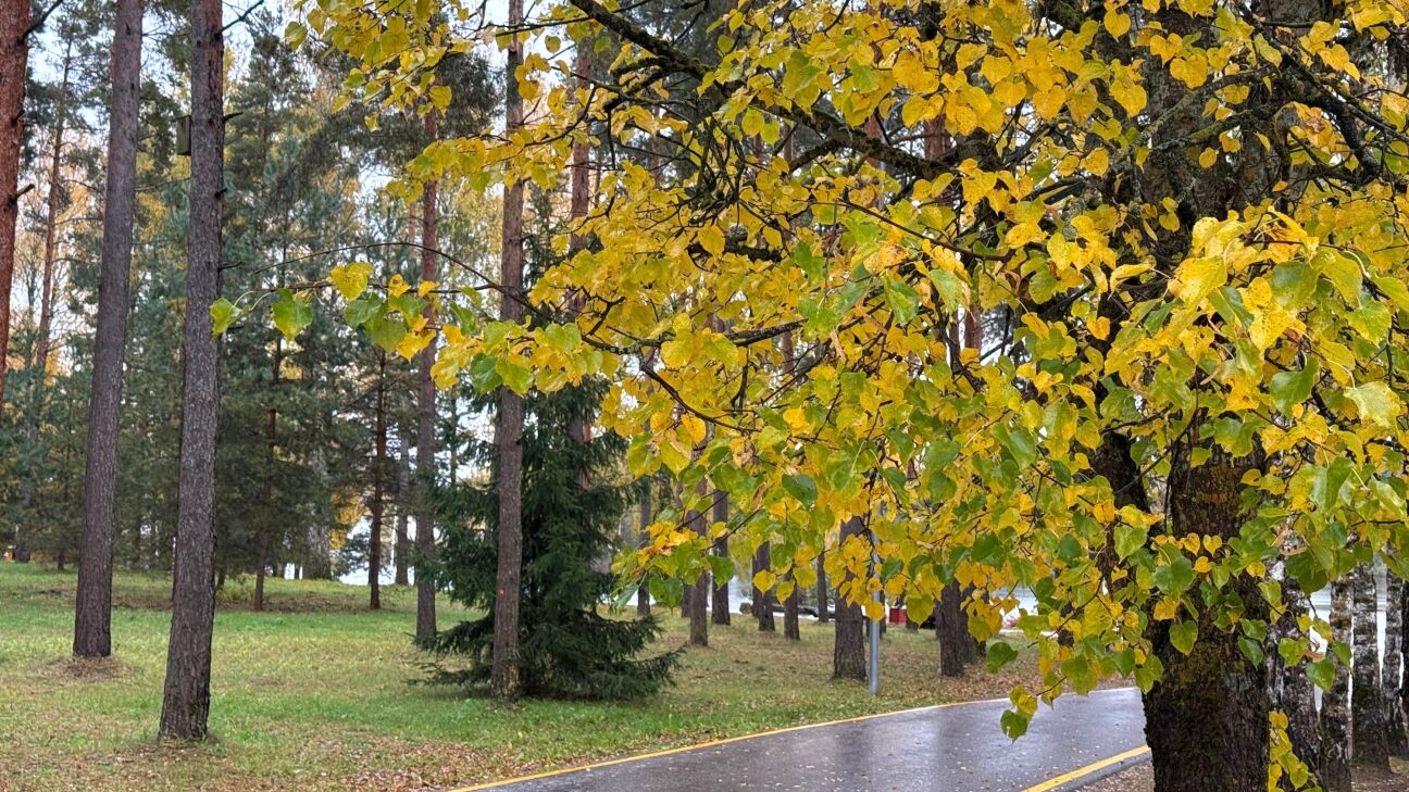 Jēkabpils - viens no sausākajiem reģioniem Latvijā