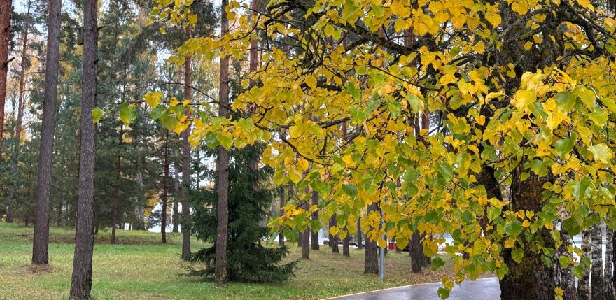 Jēkabpils - viens no sausākajiem reģioniem Latvijā