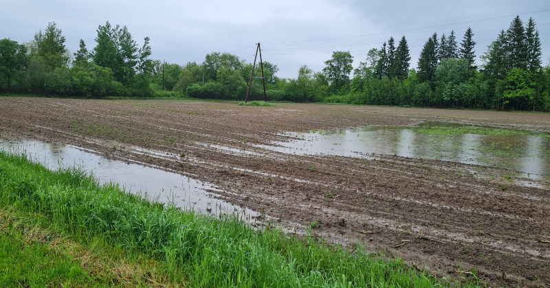 Pēc traģiskiem gadījumiem laukos izveidots atbalsta tālrunis lauksaimniekiem