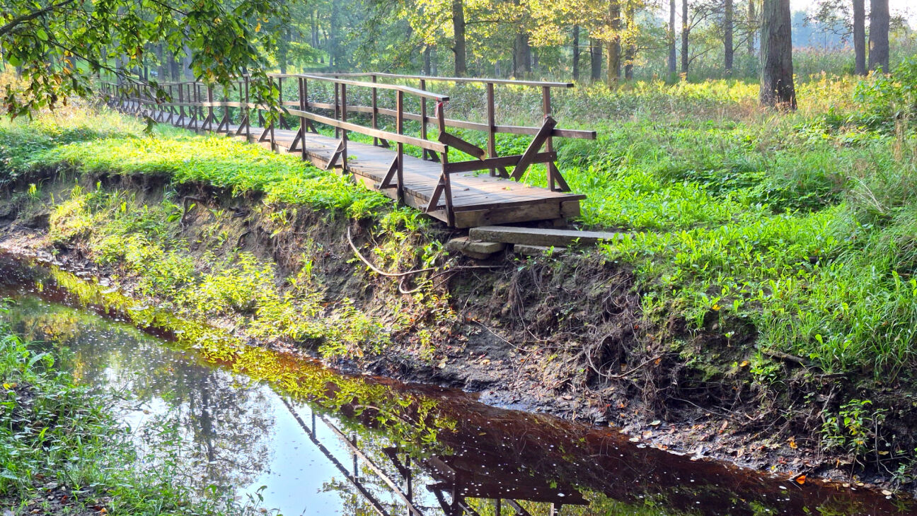 Jēkabpils novadam piešķirti vairāk nekā 20 tūkstoši eiro lietavu postījumu novēršanai