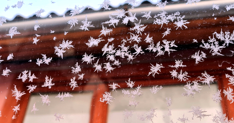 Valsts svētku brīvdienās gaidāms pirmais sniegs