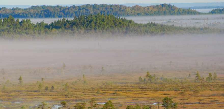 Uzsākta Teiču dabas rezervāta aizsardzības plāna izstrāde