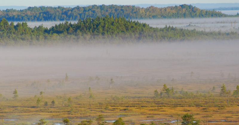 Uzsākta Teiču dabas rezervāta aizsardzības plāna izstrāde