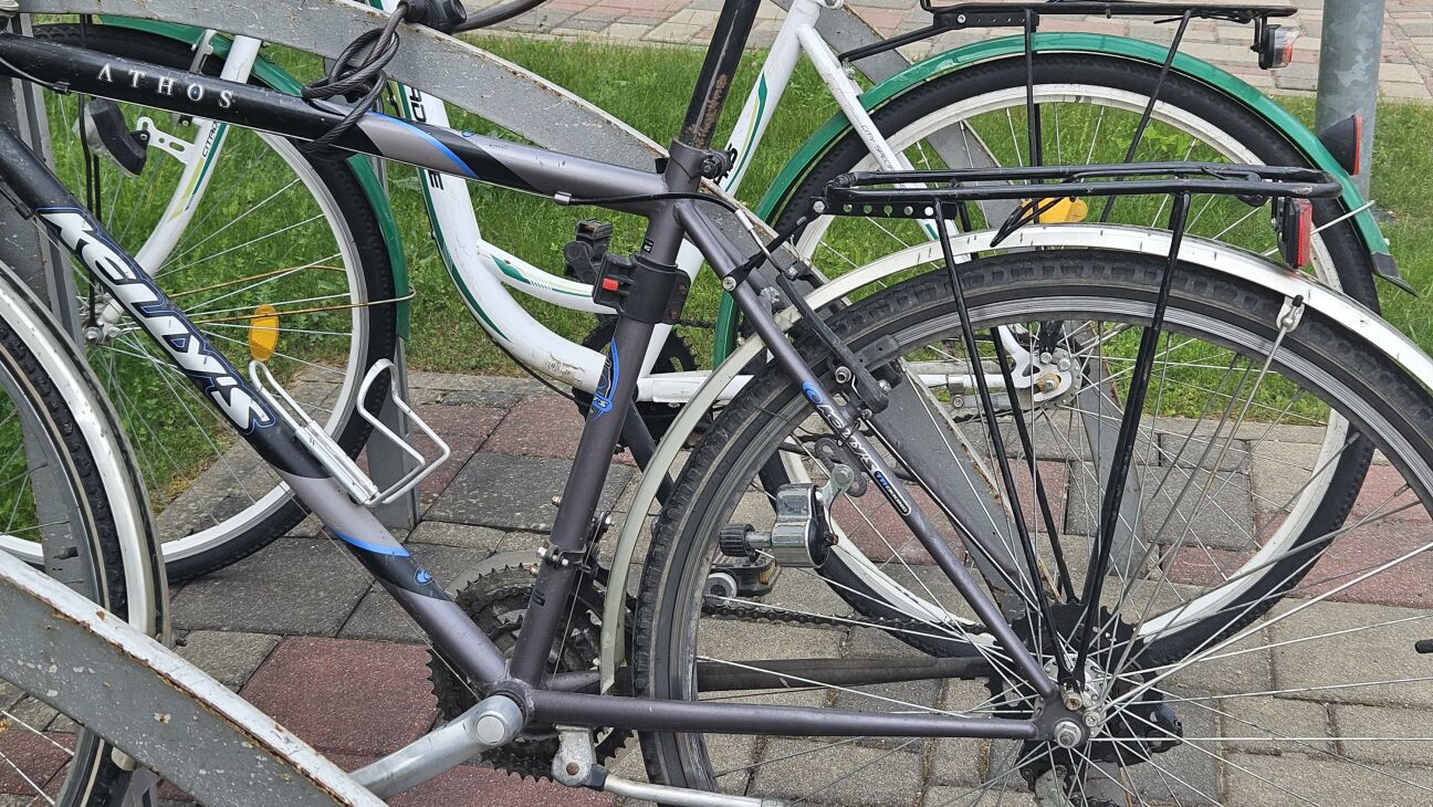 Par godu Valsts svētkiem jēkabpilieši dosies 50 kilometru garā velobraucienā