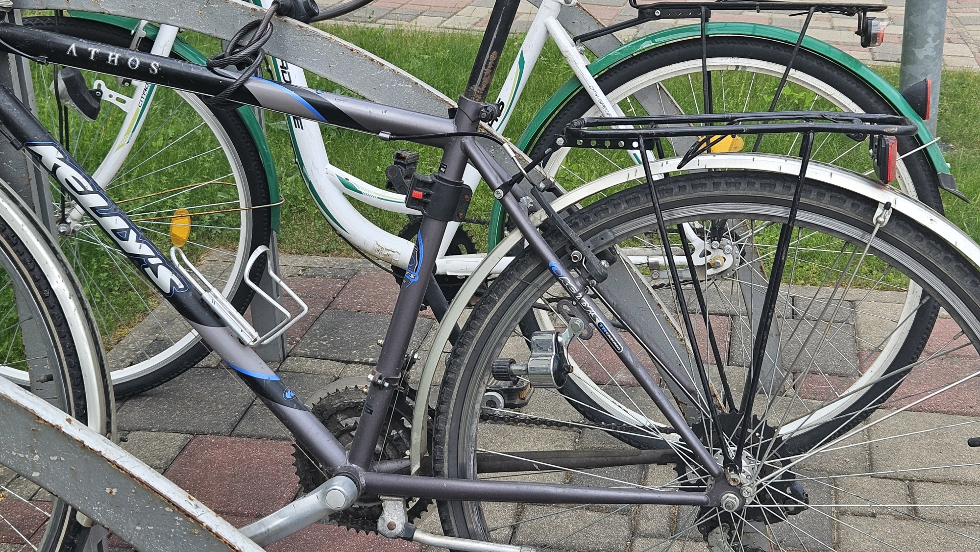 Par godu Valsts svētkiem jēkabpilieši dosies 50 kilometru garā velobraucienā