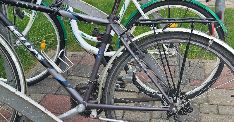 Par godu Valsts svētkiem jēkabpilieši dosies 50 kilometru garā velobraucienā