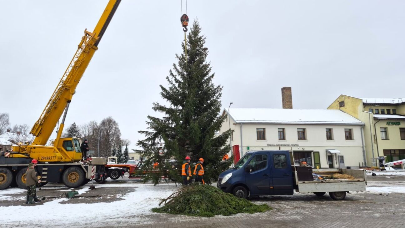 Jēkabpilī atvesta 15 metrus gara Ziemassvētku egle