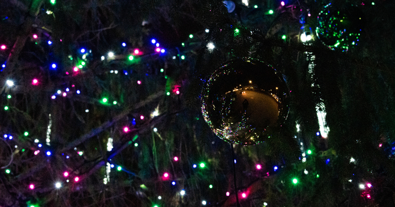 Šonedēļ Jēkabpils novadā iemirdzas svētku egles