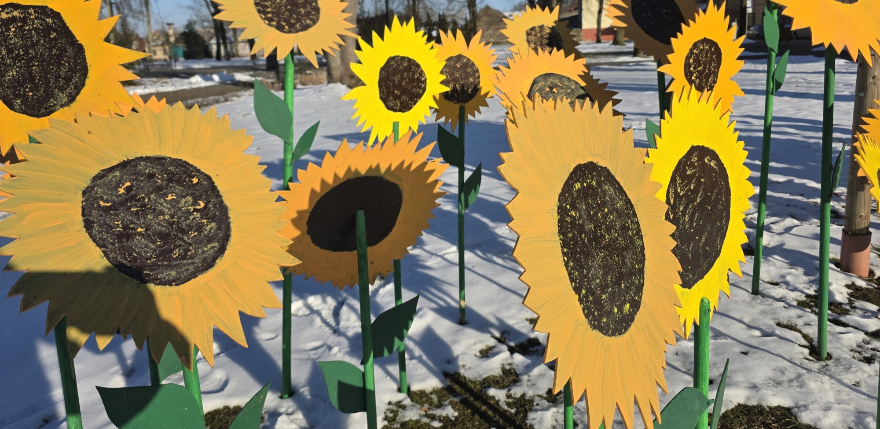 Aizkrauklē notiks ukraiņu un pašvaldības pārstāvju diskusija