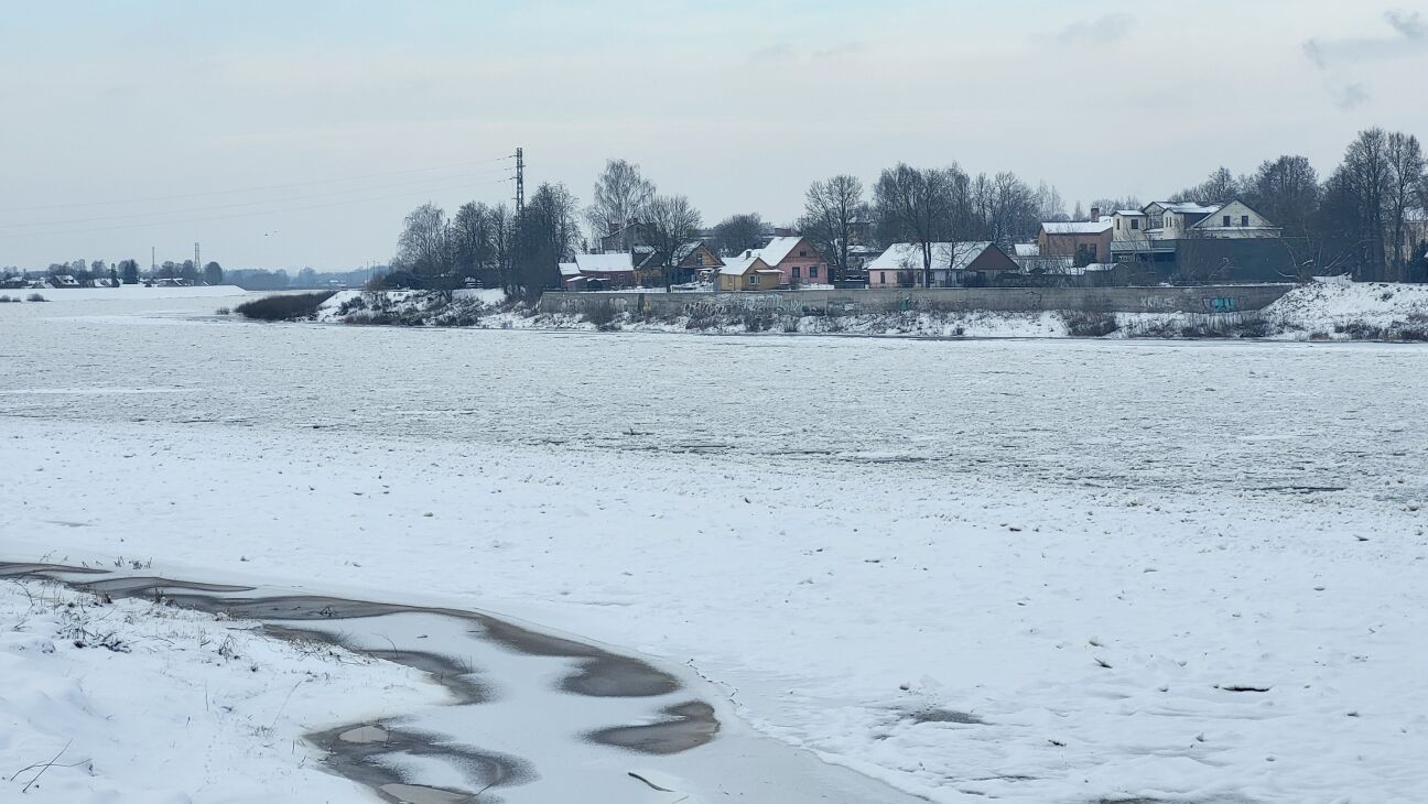 Daugavā pie Jēkabpils sastājušies vižņi