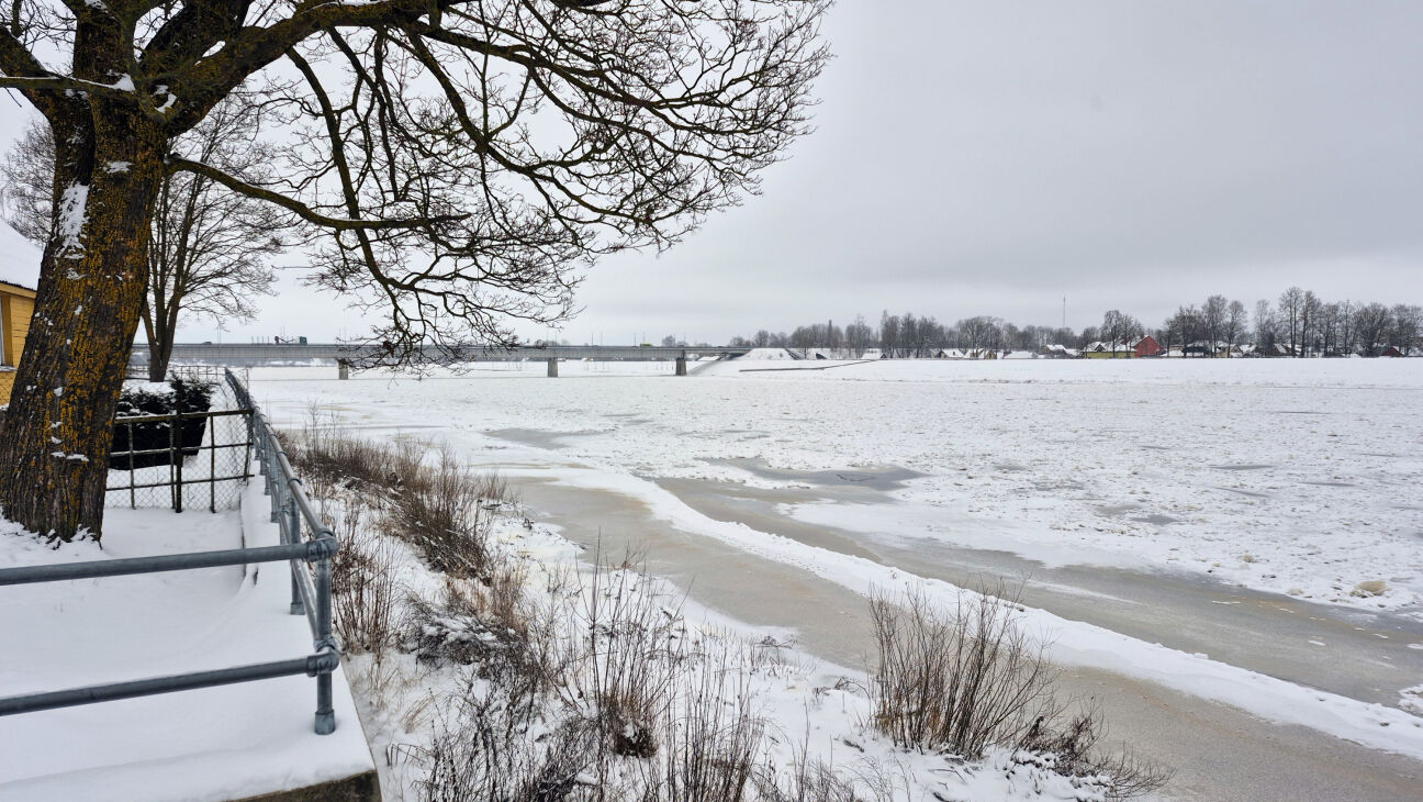 Vižņi Daugavā rada bažas Jēkabpils novadā