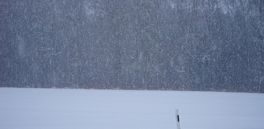 Latvijā gaidāms sniegvilksnis un stiprs putenis