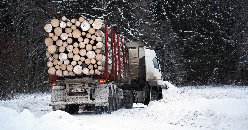 Zviedrijā samazinās koksnes cenas &ndash; vai tuvojas krīze?