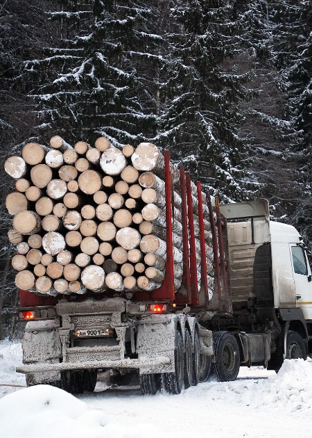 Zviedrijā samazinās koksnes cenas &ndash; vai tuvojas krīze?