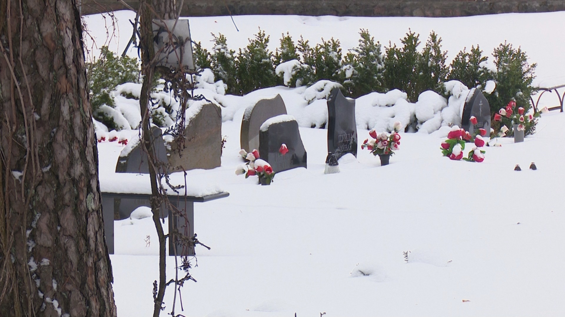 Līvānu novadā pērn miru&scaron;i teju divarpus reizes vairāk cilvēku nekā piedzimu&scaron;i