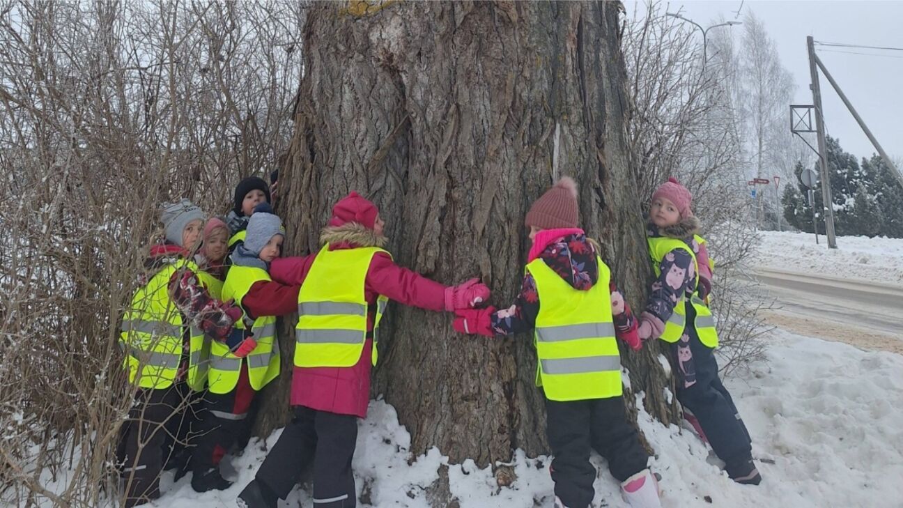 Viesītē bērni kļūst par dabas pētniekiem