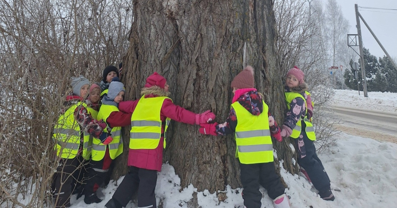 Viesītē bērni kļūst par dabas pētniekiem