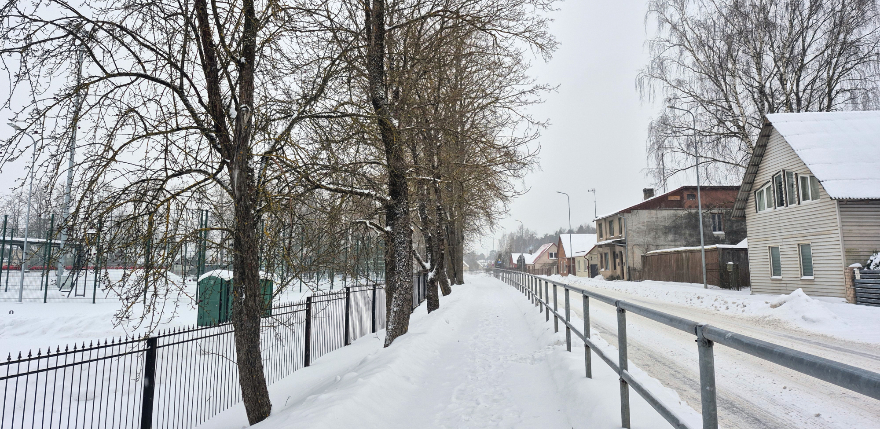 Pie Jēkabpils Valsts ģimnāzijas augo&scaron;ie koki rada apdraudējumu &ndash; vietvara kop&scaron;anas vietā izvēlas cir&scaron;anu