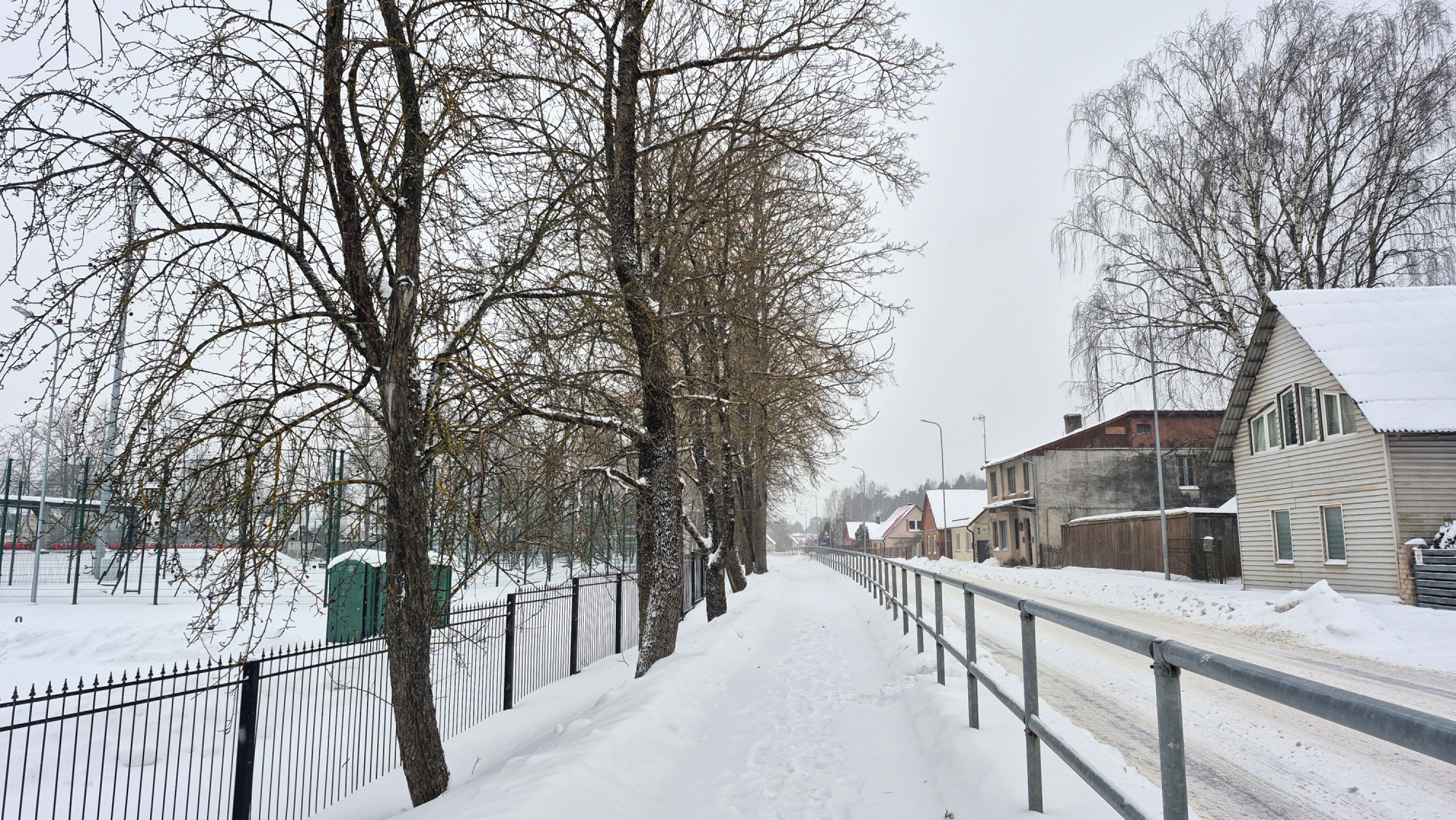 Pie Jēkabpils Valsts ģimnāzijas augo&scaron;ie koki rada apdraudējumu &ndash; vietvara kop&scaron;anas vietā izvēlas cir&scaron;anu