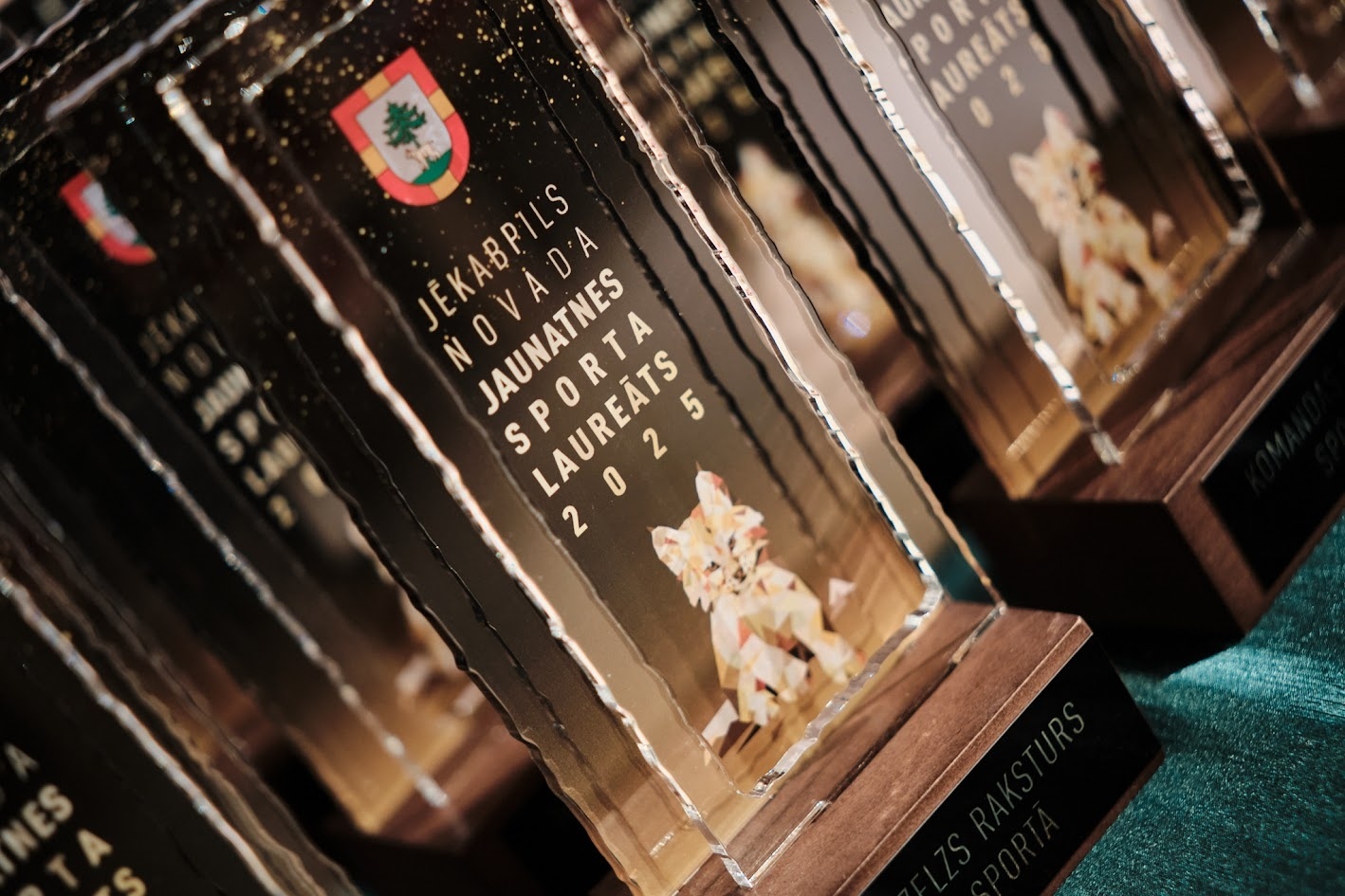 Godināti Jēkabpils novada labākie sportisti un komandas