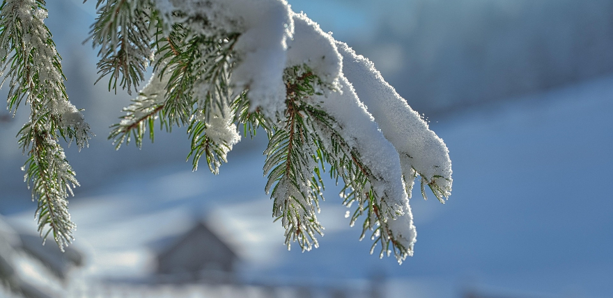 Jēkabpilī 30 centimetri, Līvānu pusē vēl vairāk &ndash; Latviju klāj dziļa sniega sega