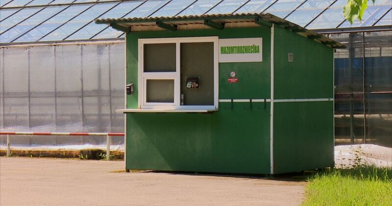 Izbeigta dārzeņu audzētāja "Rītausma" darbība