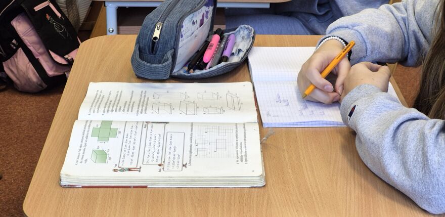 Pa&scaron;valdības un nozares organizācijas apstrīd IZM skolu reformas noteikumus