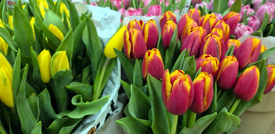 Ziedu dāvinā&scaron;ana &ndash; joprojām populāra 8. marta tradīcija