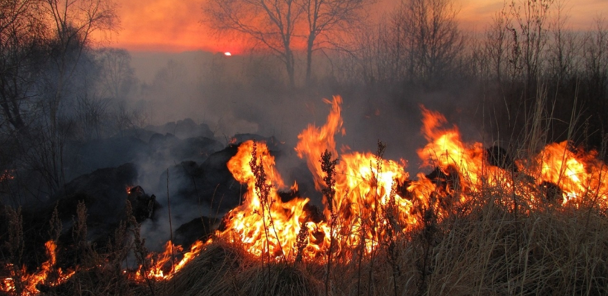 Jēkabpils novadā dzēsti pirmie kūlas ugunsgrēki, vienā no tiem &ndash; liesmas pārmetās uz &scaron;ķūni