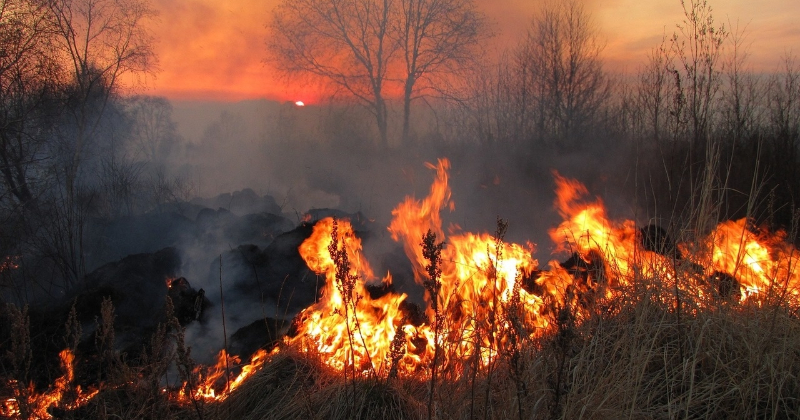 Jēkabpils novadā dzēsti pirmie kūlas ugunsgrēki, vienā no tiem &ndash; liesmas pārmetās uz &scaron;ķūni