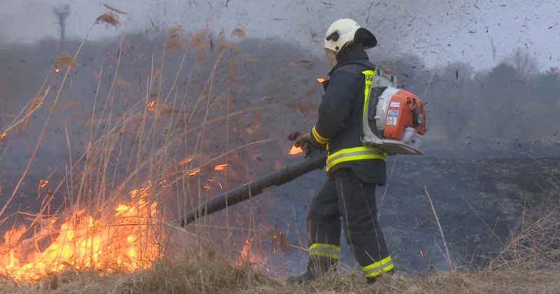 Jēkabpils novadā trīs vietās degusi kūla &ndash; liesmas skāru&scaron;as arī mežu