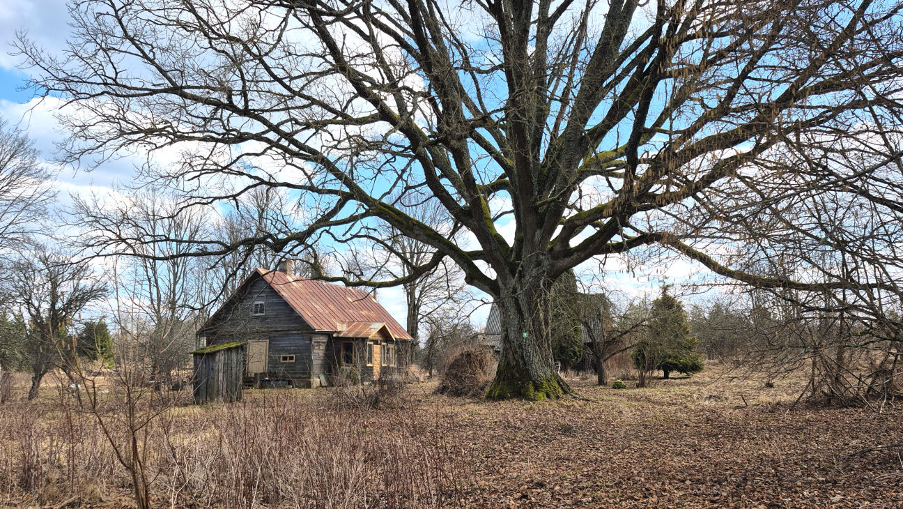 Jēkabpils novadnieki aktīvi izmanto ALTUM programmu mājokļu iegādei reģionos