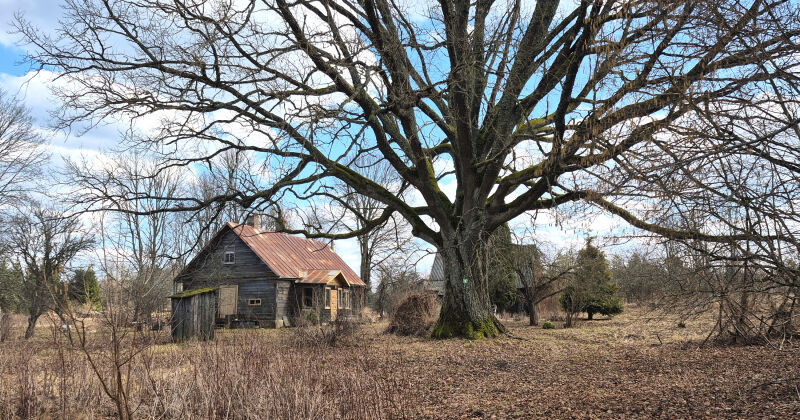 Jēkabpils novadnieki aktīvi izmanto ALTUM programmu mājokļu iegādei reģionos