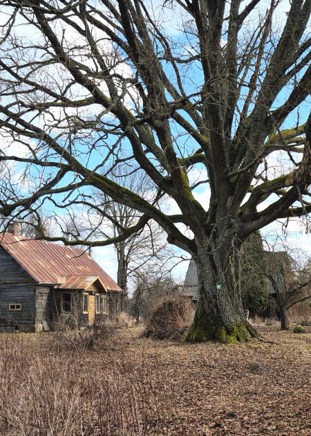Jēkabpils novadnieki aktīvi izmanto ALTUM programmu mājokļu iegādei reģionos