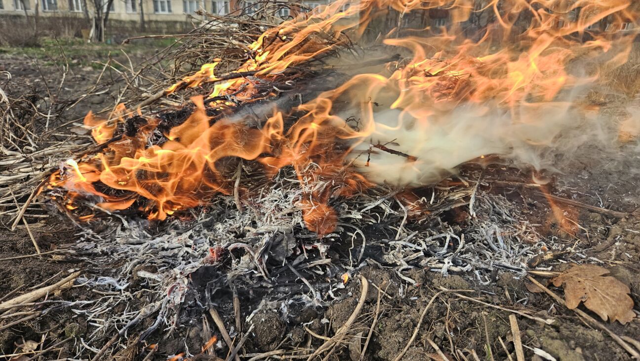 Jēkabpils novadā turpina dedzināt sauso zāli