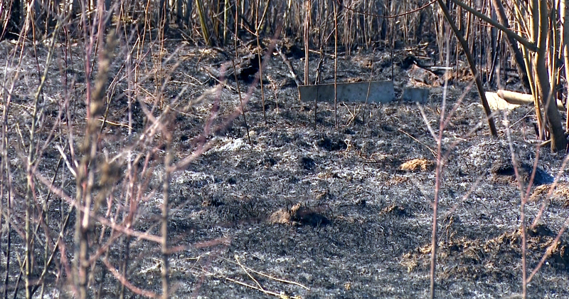 Jēkabpils novadā dzēsti četri kūlas ugunsgrēki, Aizkraukles novadā &ndash; dego&scaron;i sodrēji
