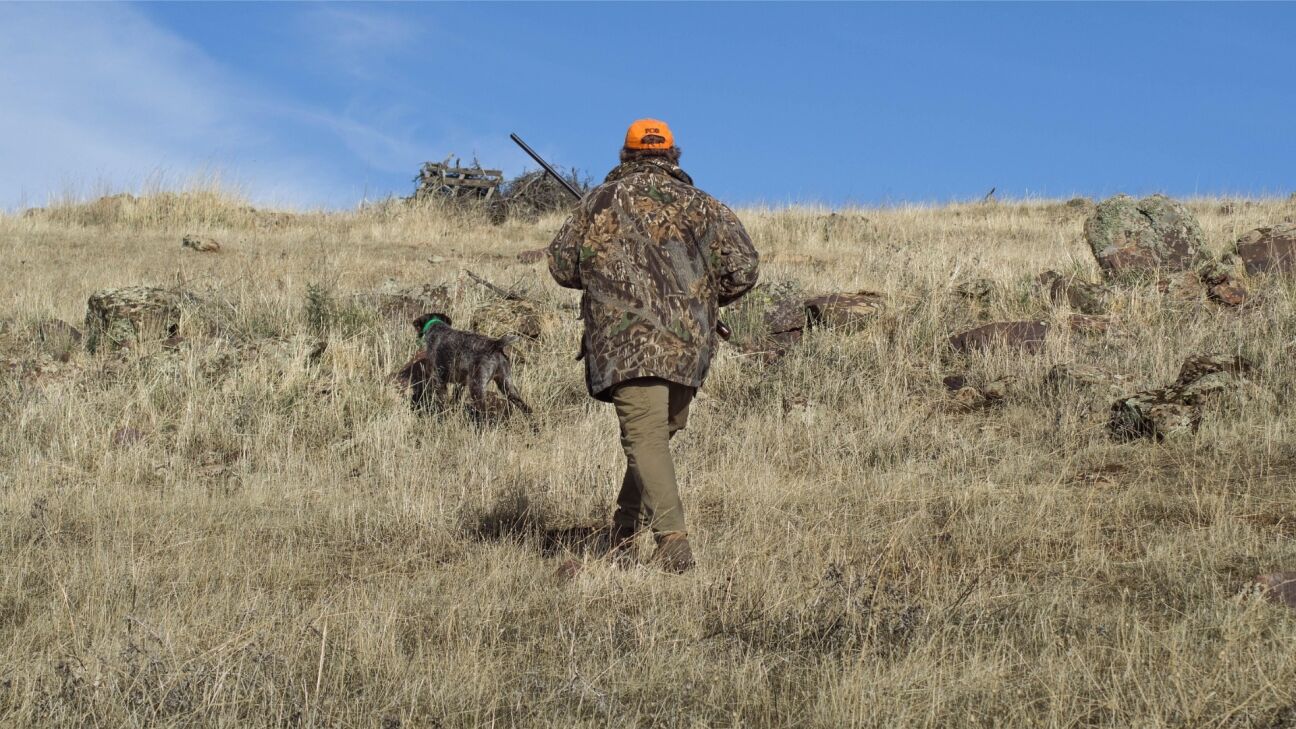 Jaunajai medību sezonai karti līdz marta beigām saņēmuši 4319 mednieki