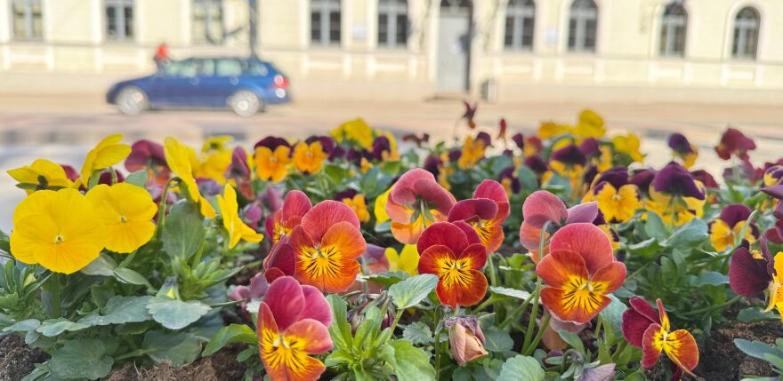 Lieldienu brīvdienās Latvijā gaidāms slapj&scaron; sniegs