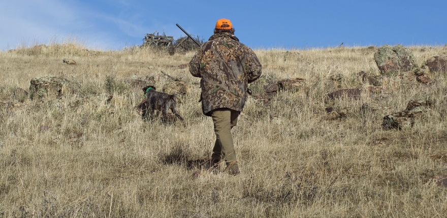 Jaunajai medību sezonai karti līdz marta beigām saņēmu&scaron;i 4319 mednieki