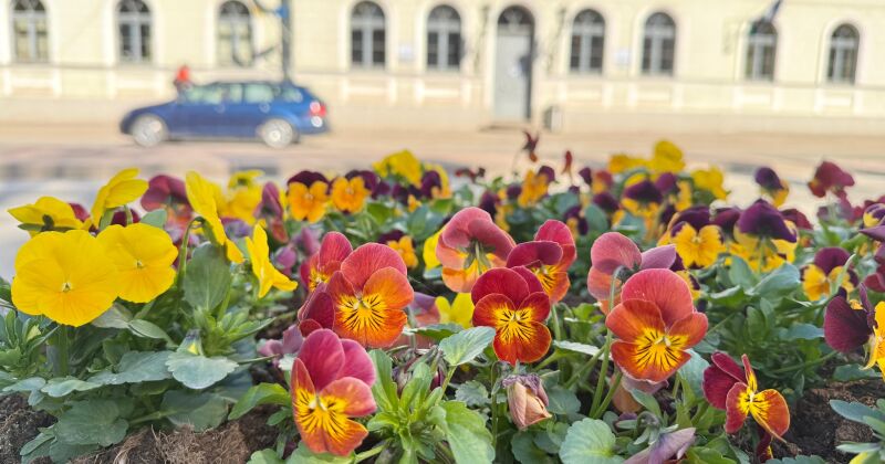 Lieldienu brīvdienās Latvijā gaidāms slapj&scaron; sniegs